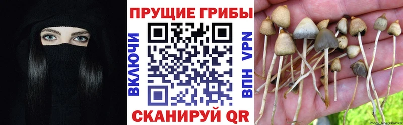 Галлюциногенные грибы мухоморы  Бокситогорск 